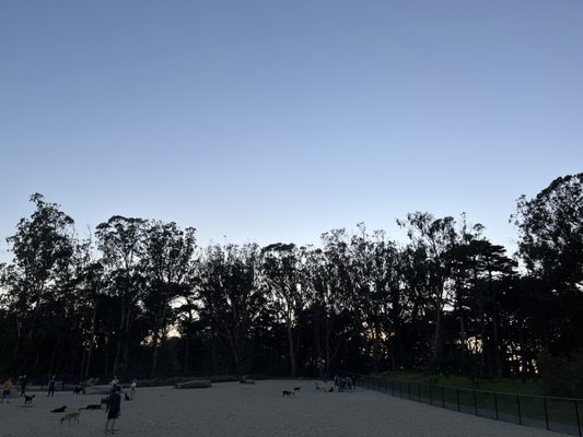 Golden Gate Park Dog Training Area