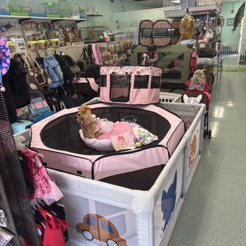 Pet Stop - Bags - Pet Stores Near Me - Rancho Cucamonga, California