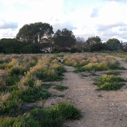 Maddox Park - Road to the dog park from the back side