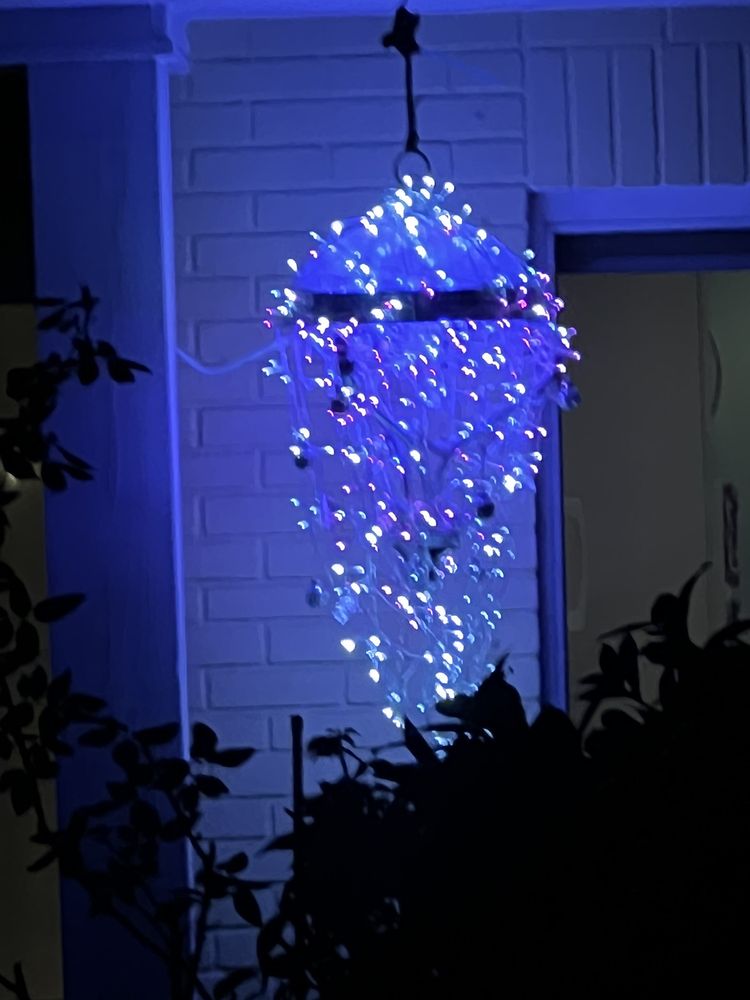 CHANDELIERS OF DUNEDIN Updated September 2024 23 Photos Dunedin, Florida Commissioned