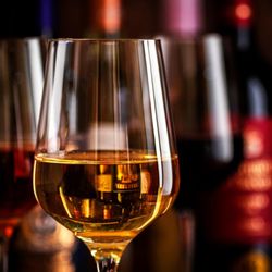 Drinks at Guy Fieri's Trattoria in Eldorado Gaming Scioto Downs Racino & Horse Racing in Columbus, OH