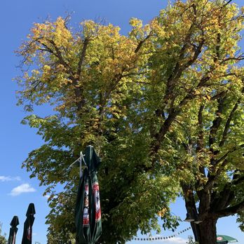 DorfWirtschaft Asten - Biergarten im Herbst - German Near Me - Tittmoning, BY DorfWirtschaft Asten - Biergarten im Herbst - German Near Me - Tittmoning, BY