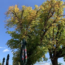 DorfWirtschaft Asten - Biergarten im Herbst
