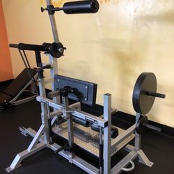 American Iron Gym - Brand-new Sorinex Back Attack (for standing good mornings)
