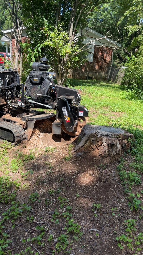 Spartan Tree Service & Landscaping - tree service in Kernersville, NC