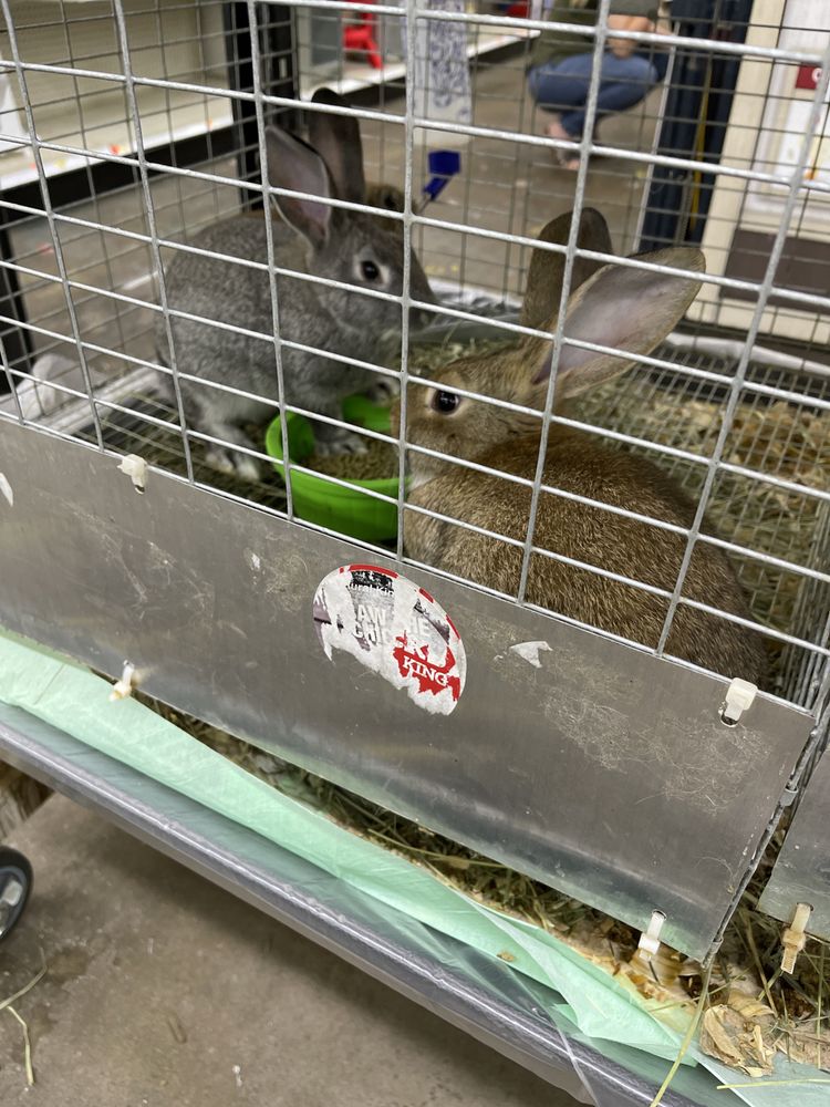 RURAL KING Updated September 2024 18 Photos & 16 Reviews 9525