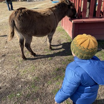 The Red Barn Farm - Petting Zoos Near Me - North Dinwiddie, Virginia The Red Barn Farm - Petting Zoos Near Me - North Dinwiddie, Virginia