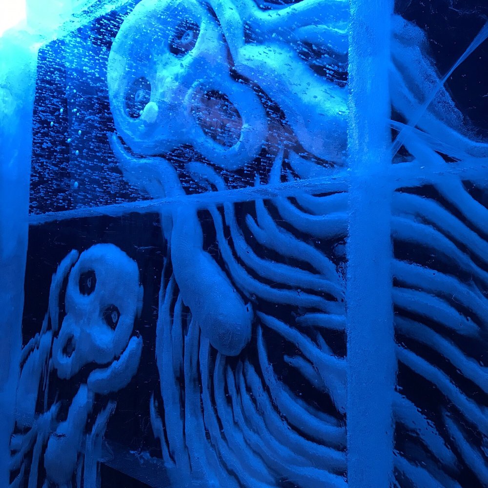 Magic Ice Bar - What we looked like when we realized the National Gallery wasn't open on Mondays)! - Bars Near Me - Oslo, 03