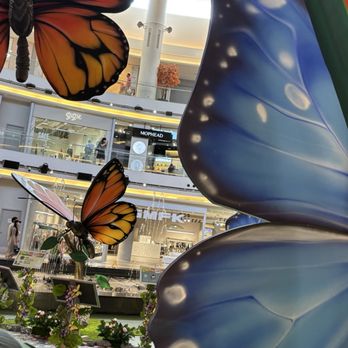 Oomomo - Oomomo at Aberdeen centre for their butterfly festival - Department Stores Near Me - Richmond, British Columbia Oomomo - Oomomo at Aberdeen centre for their butterfly festival - Department Stores Near Me - Richmond, British Columbia