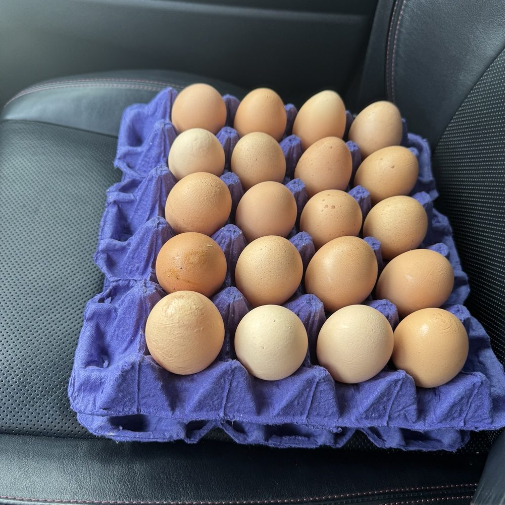Two packs of 20 eggs