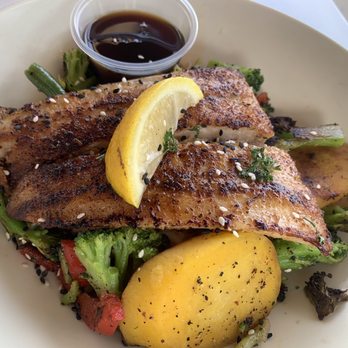 Break Awayz - Grilled Cobia with teriyaki sauce on the side, just to have some controll over the sugar - Bars Near Me - Flagler Beach, Florida Break Awayz - Grilled Cobia with teriyaki sauce on the side, just to have some controll over the sugar - Bars Near Me - Flagler Beach, Florida