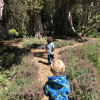 Always Learning and Growing Outdoor Programs - Looking for butterflies in the garden! - Child Care & Day Care Near Me - San Francisco, California Always Learning and Growing Outdoor Programs - Looking for butterflies in the garden! - Child Care & Day Care Near Me - San Francisco, California