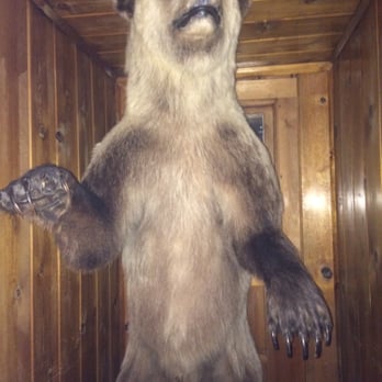 Holland Lake Lodge - Hallway bear standing guard. - Hotels Near Me - Condon, Montana Holland Lake Lodge - Hallway bear standing guard. - Hotels Near Me - Condon, Montana