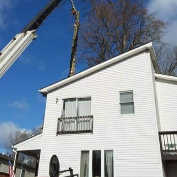 Timber Taskforce Tree Service - a tree being lifted by a crane - Tree Services Near Me Timber Taskforce Tree Service - a tree being lifted by a crane - Tree Services Near Me