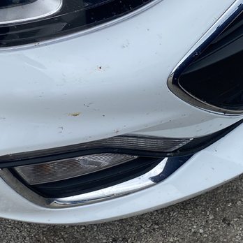 Hertz Rent A Car - Dirt dead bugs - Car Rental Near Me - Rockford, Illinois Hertz Rent A Car - Dirt dead bugs - Car Rental Near Me - Rockford, Illinois