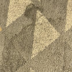 Holiday Inn & Suites Lima - Carpet staining