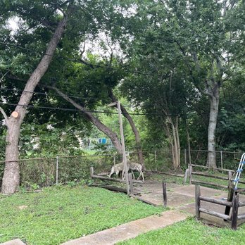 Jose Lozano Tree Services - Tree Services Near Me - Houston, Texas Jose Lozano Tree Services - Tree Services Near Me - Houston, Texas