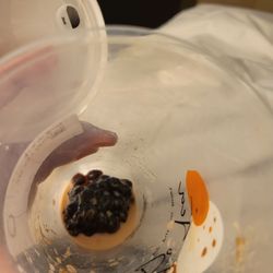 Fusion Bowl - Block of hard boba
