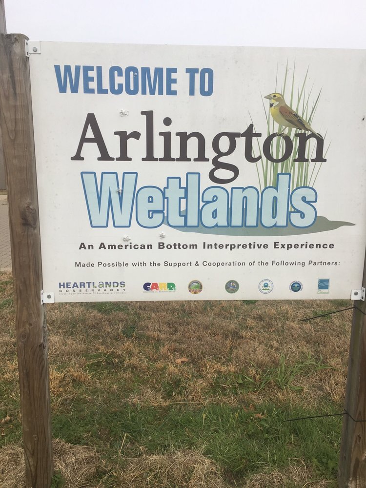 Arlington Wetlands Logo