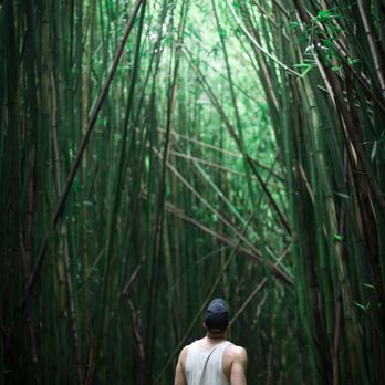 Pipiwai Trail - Hiking Near Me - Hana,, Hawaii