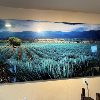 La Tequila Mexican Restaurant - Some interior decoration, photo of a field of agave - Mexican Near Me - Buellton, California La Tequila Mexican Restaurant - Some interior decoration, photo of a field of agave - Mexican Near Me - Buellton, California