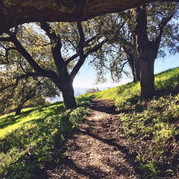 Harvey Bear County Park - Coyote Ridge Trail, off Mendoza Ranch entrance (Early spring 2017) - Hiking Near Me - San Martin, California Harvey Bear County Park - Coyote Ridge Trail, off Mendoza Ranch entrance (Early spring 2017) - Hiking Near Me - San Martin, California