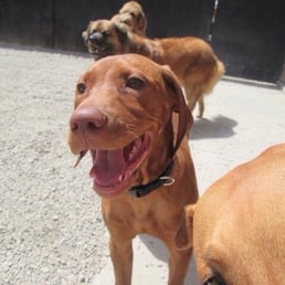 Kona having fun at CC!