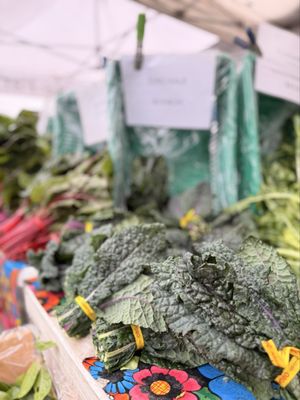 Ferry Building by null