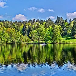 Klosterweiherhof - Paradies auf Erden