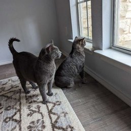 Waiting for Anna to Visit