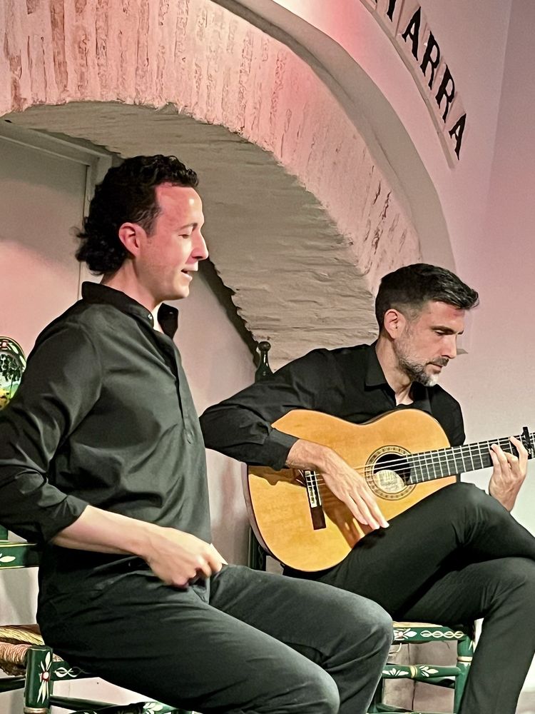 Casa de la Guitarra