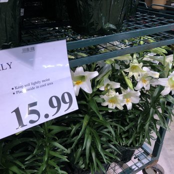Costco - Gas Stations Near Me - Lexington, Kentucky