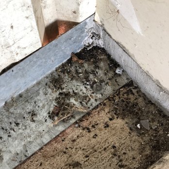 Northwest Self Storage - Mouse feces in corner of unit. - Self Storage Near Me - Tualatin, Oregon