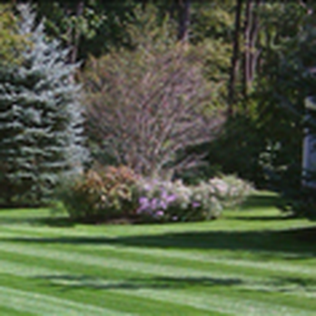 Frye's Landscaping and Irrigation - a green lawn with trees and bushes - Landscaping Near Me - Groveland, Massachusetts Frye's Landscaping and Irrigation - a green lawn with trees and bushes - Landscaping Near Me - Groveland, Massachusetts