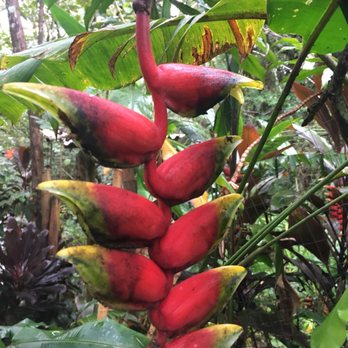 Hike Maui - Tours Near Me - Kahului, Hawaii