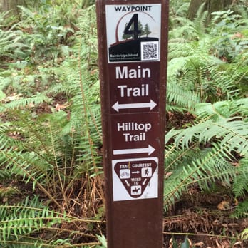 Grand Forest - Choose your adventure. - Hiking Near Me - Bainbridge Island, Washington