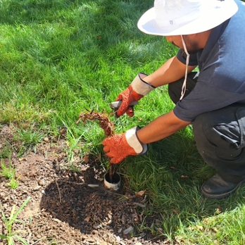 Dynamic Plumbing & Rooter - Cleaning out patio drain pipe that has roots growing into it. - Plumbing Near Me - Escondido, California Dynamic Plumbing & Rooter - Cleaning out patio drain pipe that has roots growing into it. - Plumbing Near Me - Escondido, California