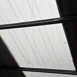 C & S Sheds - Roof lite leaking