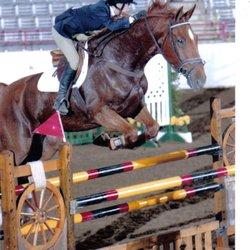 Southern Star Farm