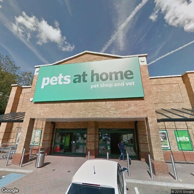 pets-at-home-6-lion-retail-park-woking-surrey-united-kingdom-yelp