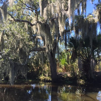 Airboat Adventures - Absolutely beautiful - Boat Tours Near Me - Lafitte, Louisiana