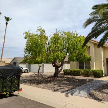 Daniel Landscaping - Landscaping Near Me
