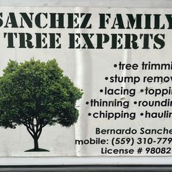 Sanchez Family Tree Experts Maria & Bernardo Sanchez - Our service