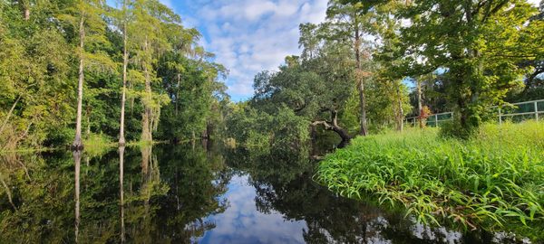 Shingle Creek Regional Park by null