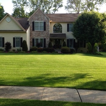 Green Lawn Fertilizing - They say that our lawn is the best one in our neighborhood! Thank you Green Lawn! - John P - Tree Services Near Me - West Chester, Pennsylvania Green Lawn Fertilizing - They say that our lawn is the best one in our neighborhood! Thank you Green Lawn! - John P - Tree Services Near Me - West Chester, Pennsylvania