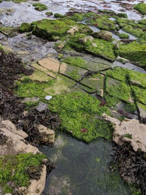 Aran Islands by null
