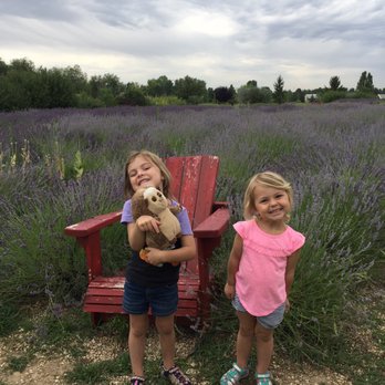Red Chair Lavender - The fields - Farms Near Me - Eagle, Idaho Red Chair Lavender - The fields - Farms Near Me - Eagle, Idaho