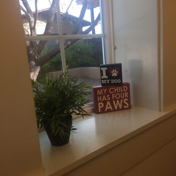 University Pet Clinic - Patient room - Veterinarians Near Me - Tucson, Arizona University Pet Clinic - Patient room - Veterinarians Near Me - Tucson, Arizona