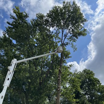 Mr Ed's Tree Service - Tree Services Near Me - Gibsonia, Pennsylvania Mr Ed's Tree Service - Tree Services Near Me - Gibsonia, Pennsylvania
