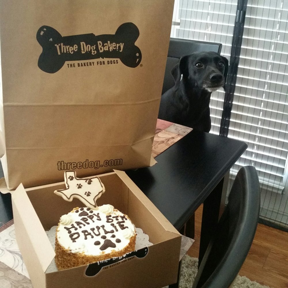 Three Dog Bakery - My paulie will have a great 5th birthday with his cake from three dog! - Pet Stores Near Me - Fort Worth, Texas